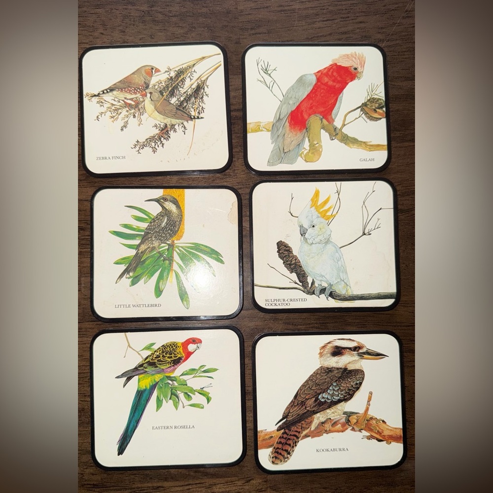 Vintage bird coaster set New Zealand